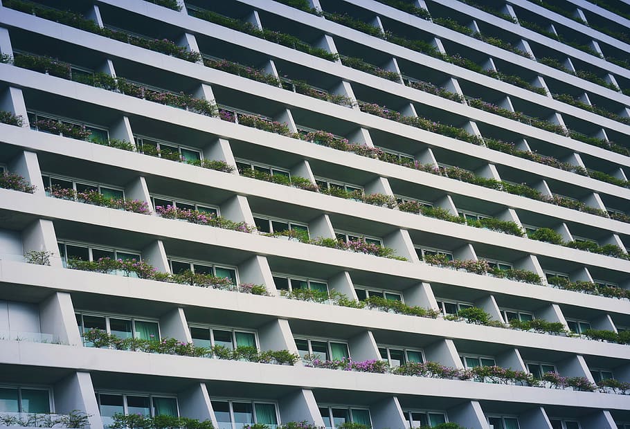 low-angle photography of white building with garden terrace, white high-rise concrete building HD wallpaper