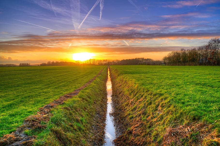 green grass field under orange sunset, ditch, hdr, meadows HD wallpaper