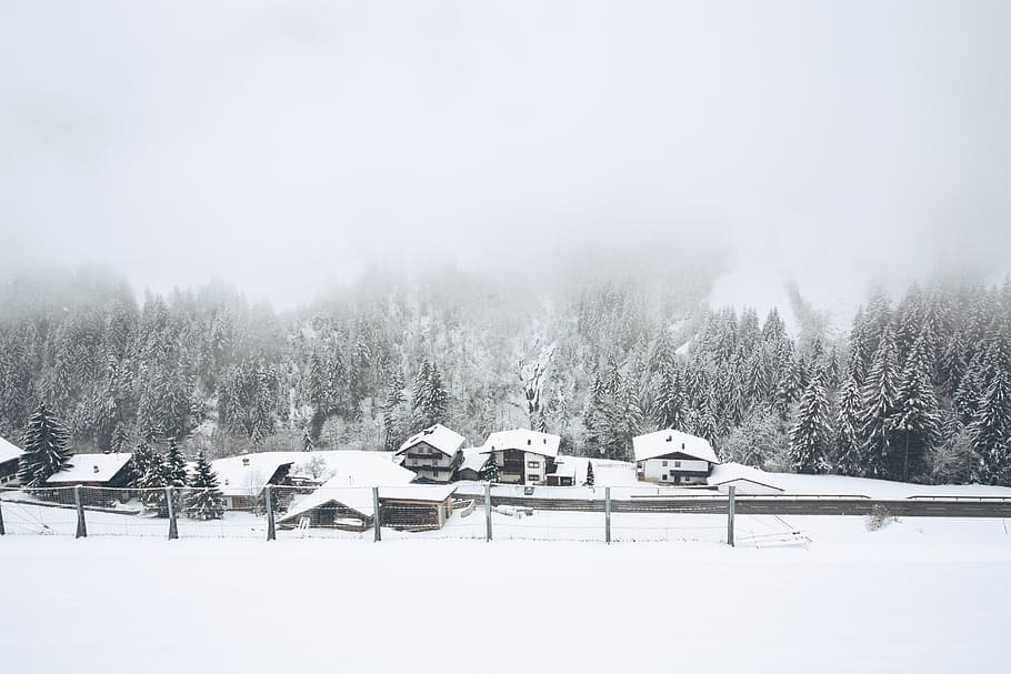 snow covered houses near trees, grayscale photo of house covered by snows HD wallpaper