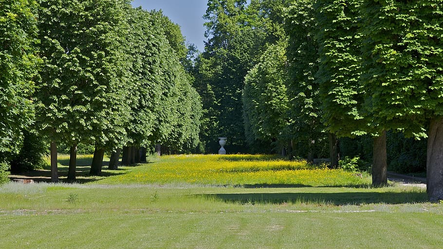 France, Landscape, Forest, Trees, Nature, outside, summer, spring HD wallpaper