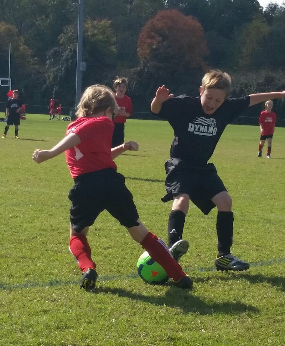 soccer, team, player, child, sport, childhood, grass, full length HD wallpaper