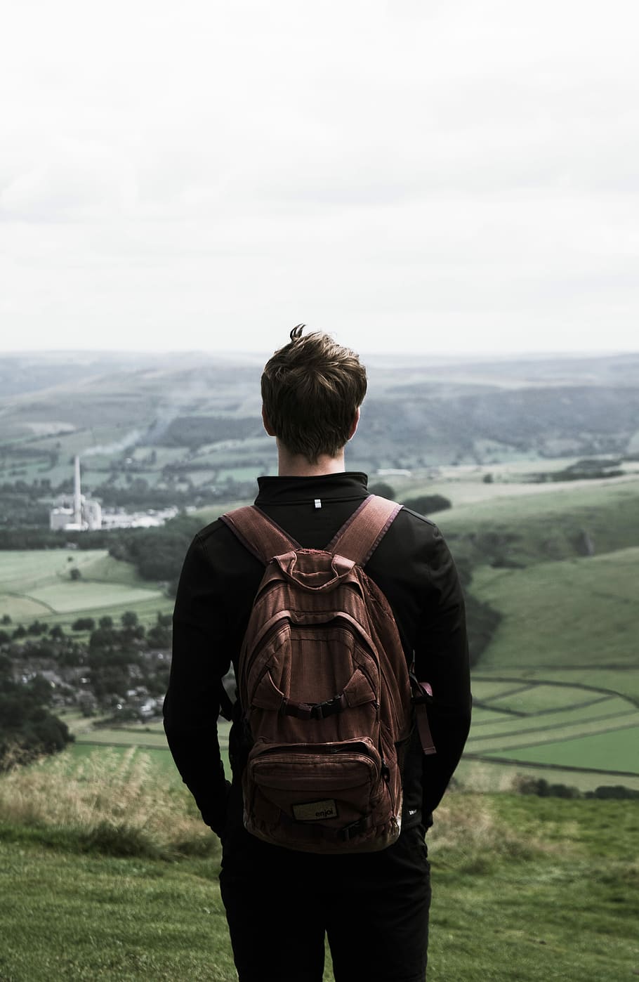 person overlooking on tall trees during daytime, man standing mountain HD wallpaper