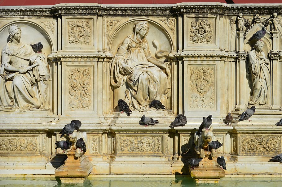 pigeons, history, fountain, italy, relief, architecture, siena, HD wallpaper