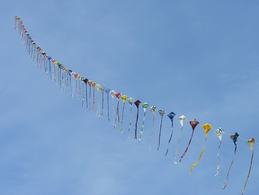 lined assorted-color kite on sky, dragons, wind, autumn, fly HD wallpaper