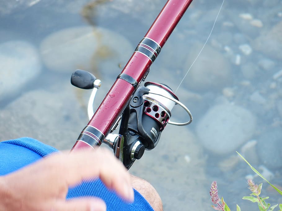 red fishing rod with reel, angel, angler, telescopic rod, fishing line, HD wallpaper