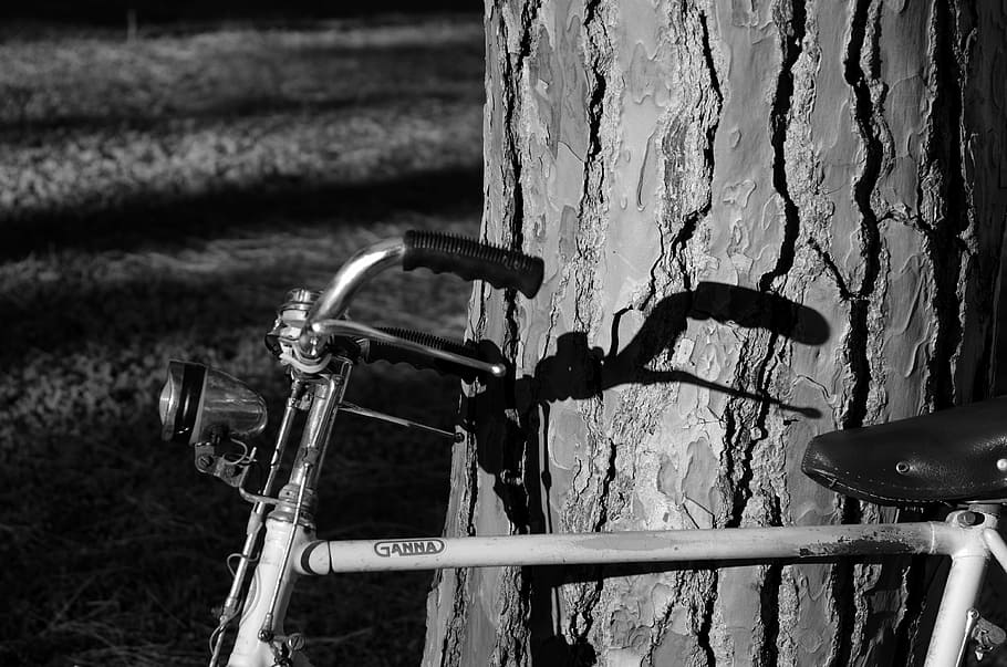 bicycle, tree, shadow, handlebars, old, outdoors, old-fashioned HD wallpaper