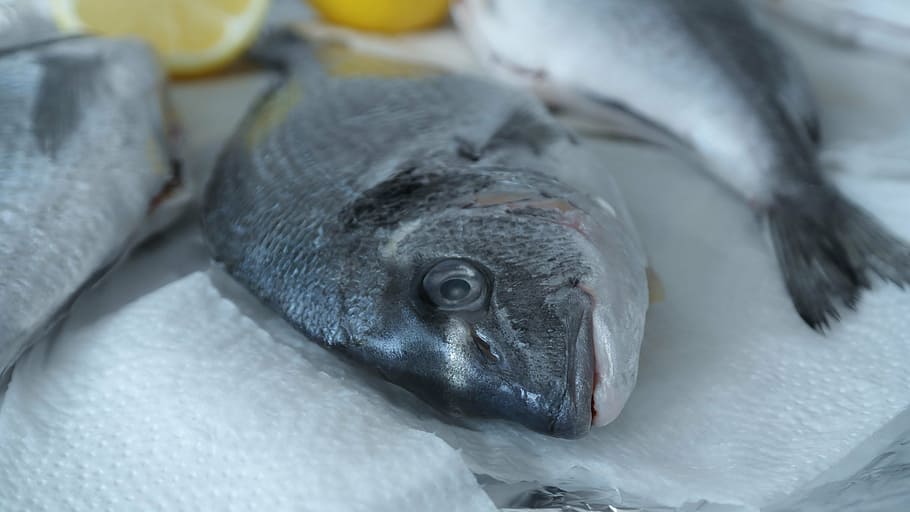 sea bream, fish, raw, lemon, food, dine, eat, healthy, frisch HD wallpaper