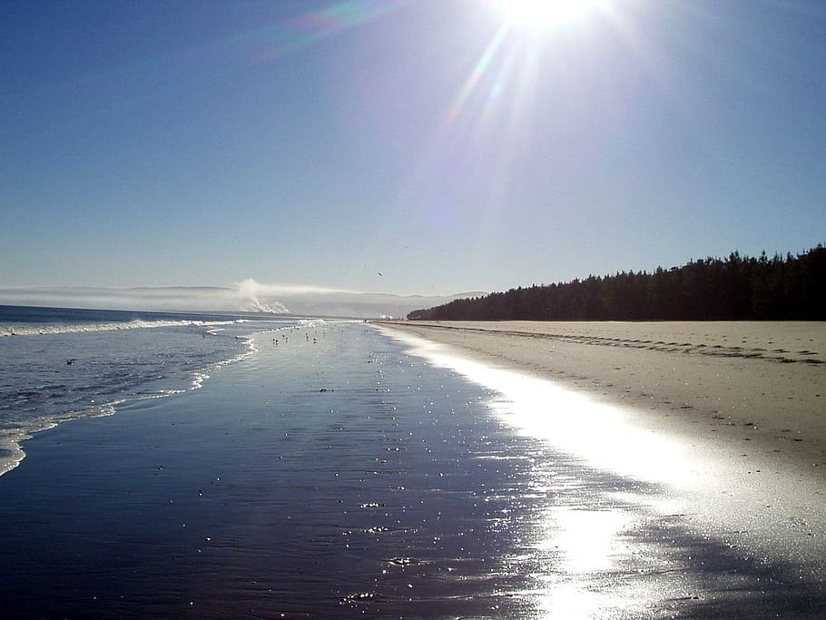 landscape photography of seashore during daytime, Sea, Beach HD wallpaper