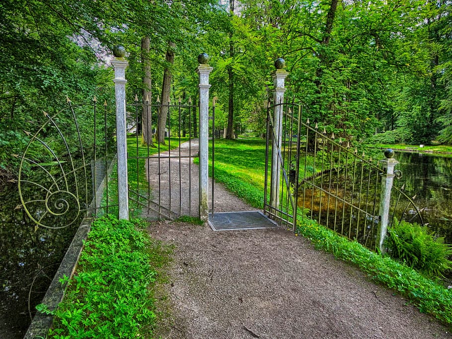 nv ermelo, netherlands, gate, trees, path, lane, summer, spring HD wallpaper