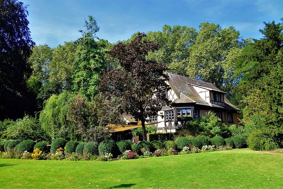 strasbourg, tree, house, lawn, turf, summer, nature, hedge HD wallpaper