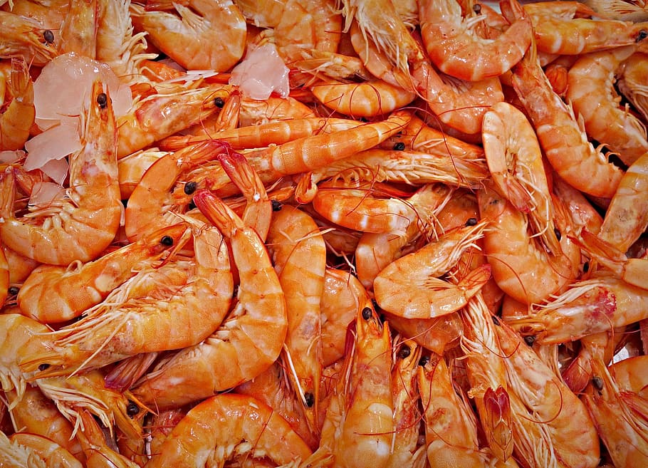 bunch of shrimp, prawn, animal, seafood, decapod crustaceans