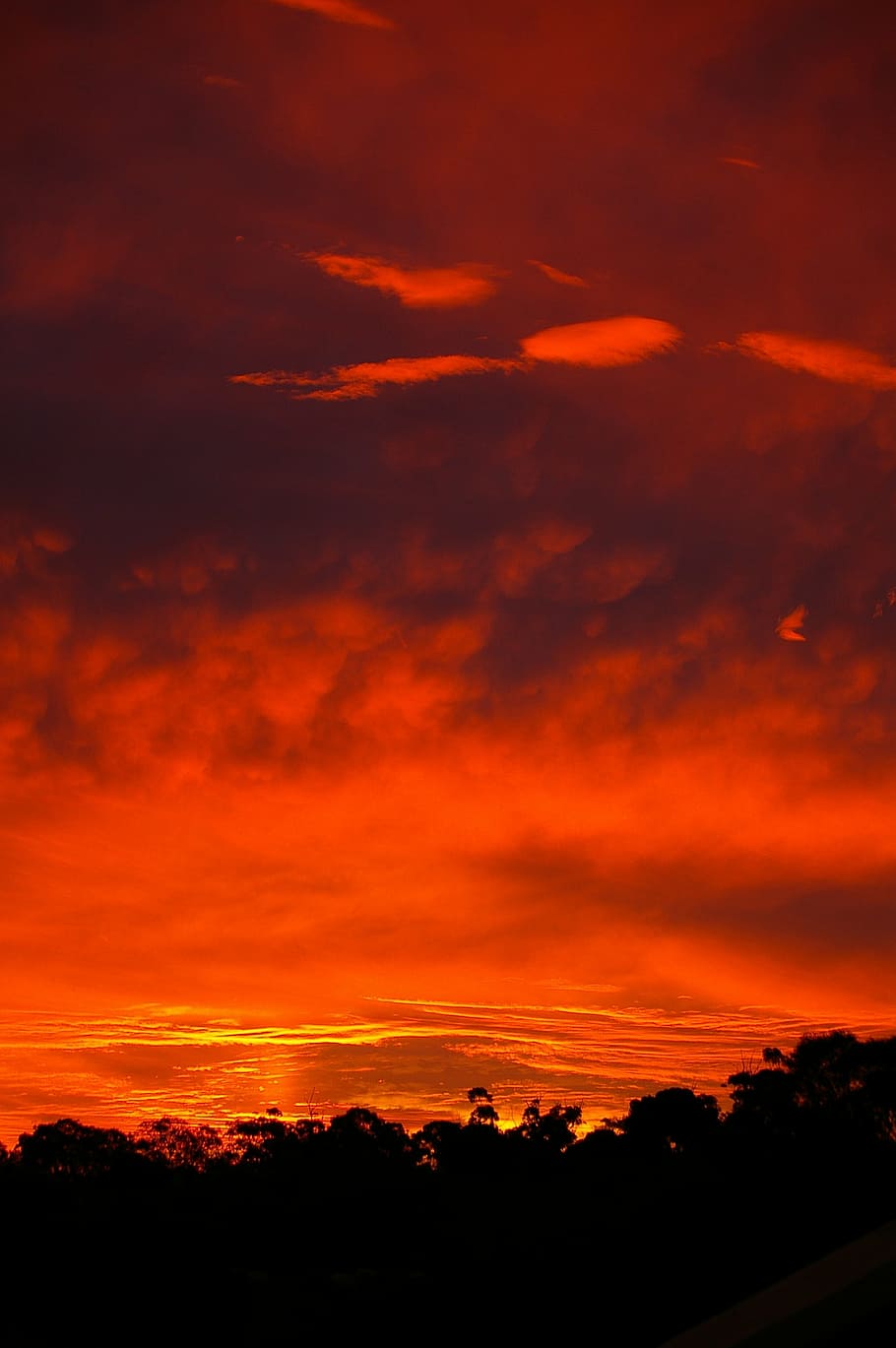 sunset, red, horizontal, clouds, sunlight, orange, beautiful HD wallpaper