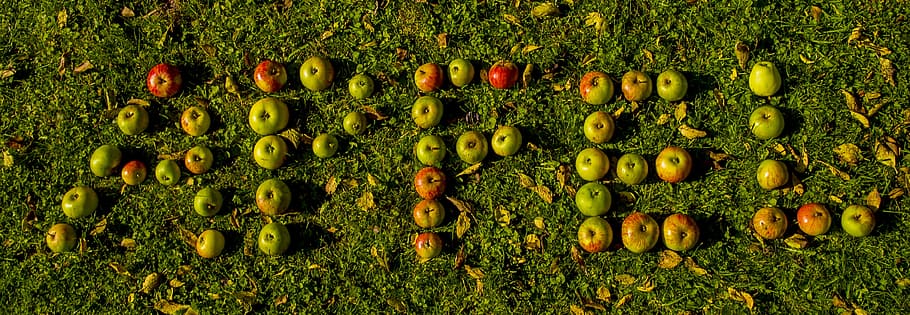 Apple, Letters, Word, Rush, Delicious, food, text, colorful HD wallpaper