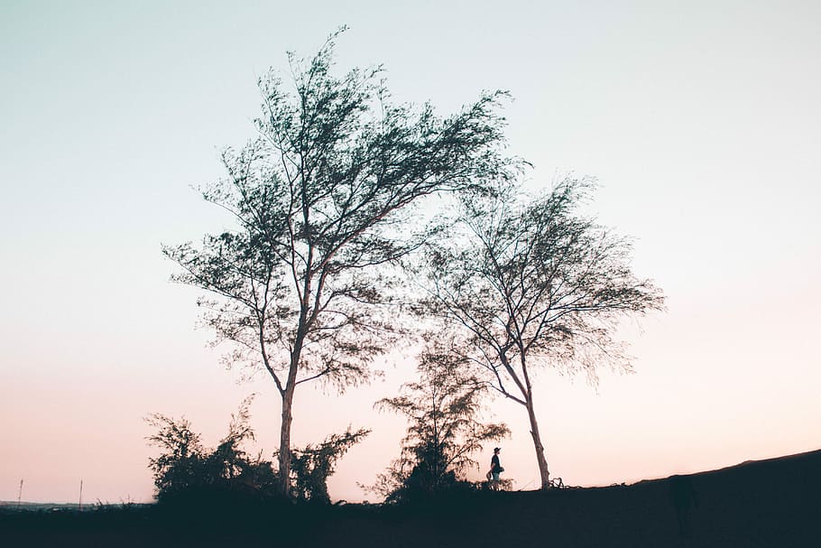 Sunset Silhouettes, silhouette of person near trees, sky, landscape HD wallpaper