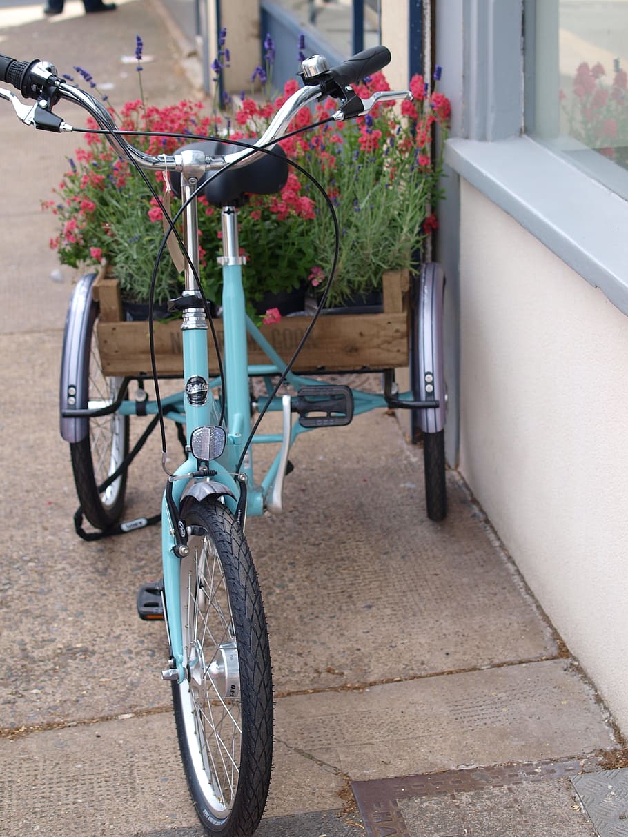 bicycle, display cycle, shop, land vehicle, mode of transportation HD wallpaper