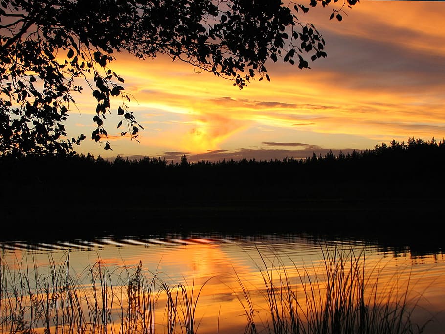 sunset, lake, water, cloud, summer, silence, forest, landscape HD wallpaper