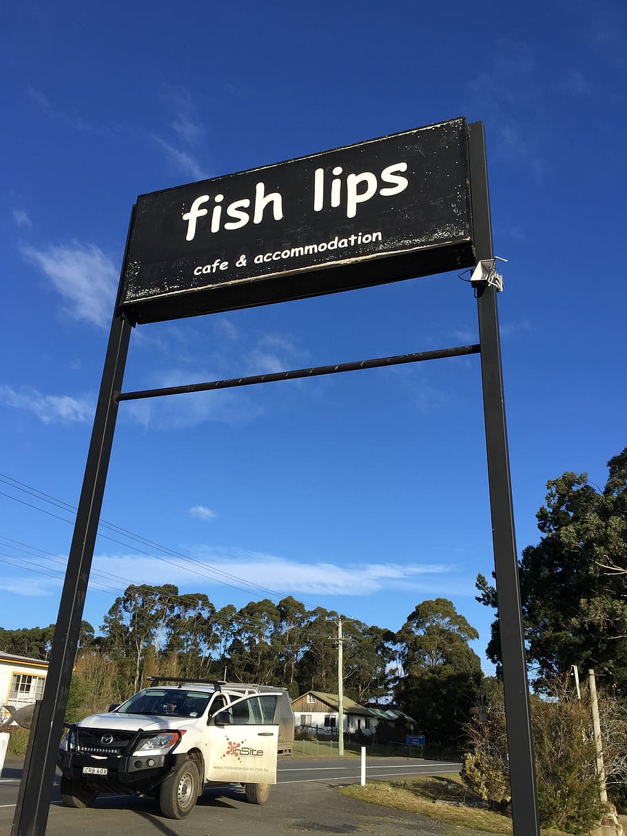 sign, fish lips, funny, icon, cafe, accomodation, text, sky HD wallpaper