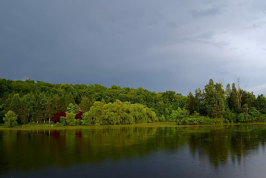 trees, lake, water, landscape, nature, reflection, summer, forest HD wallpaper