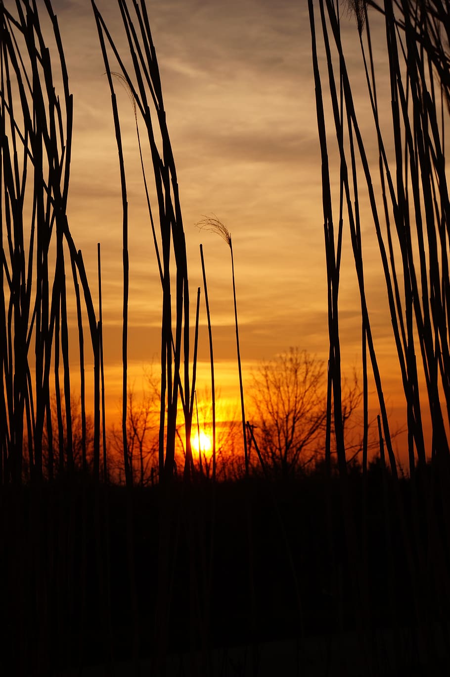 Sunset, Romance, Sicily, sky, summer, west, view, landscape HD wallpaper
