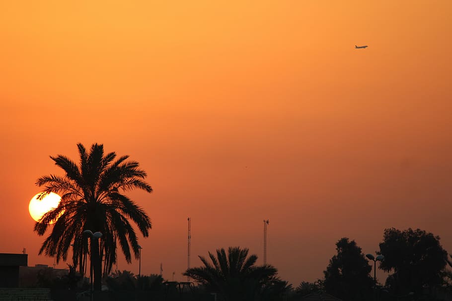 sunset, data, tree, orange, airplane, iraq, sky, silhouette, HD wallpaper