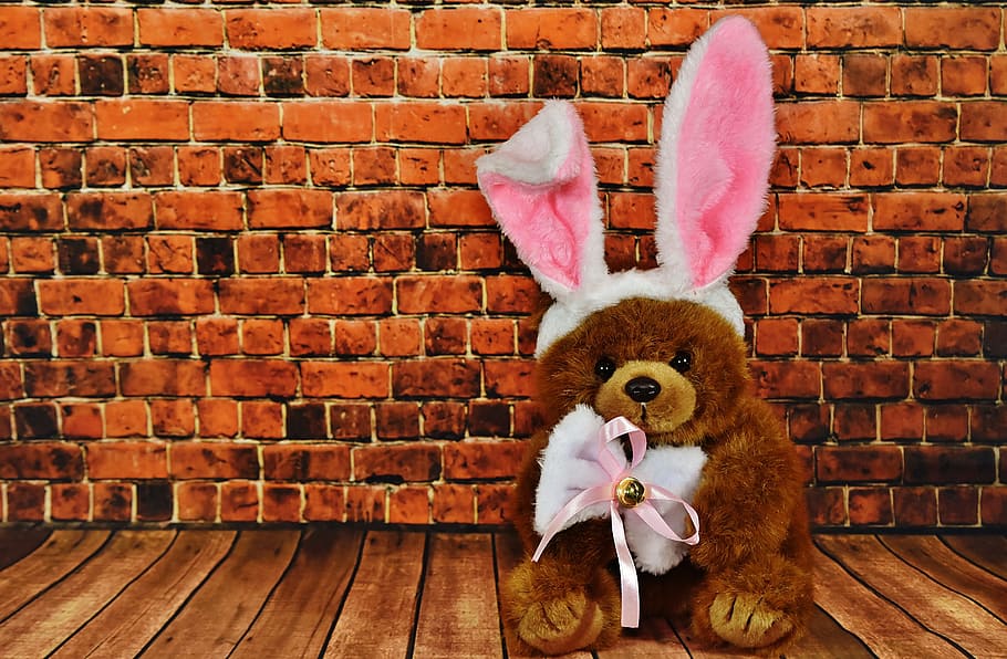 Easter Bunny, Greeting Card, Cute, funny, teddy, rabbit ears HD wallpaper
