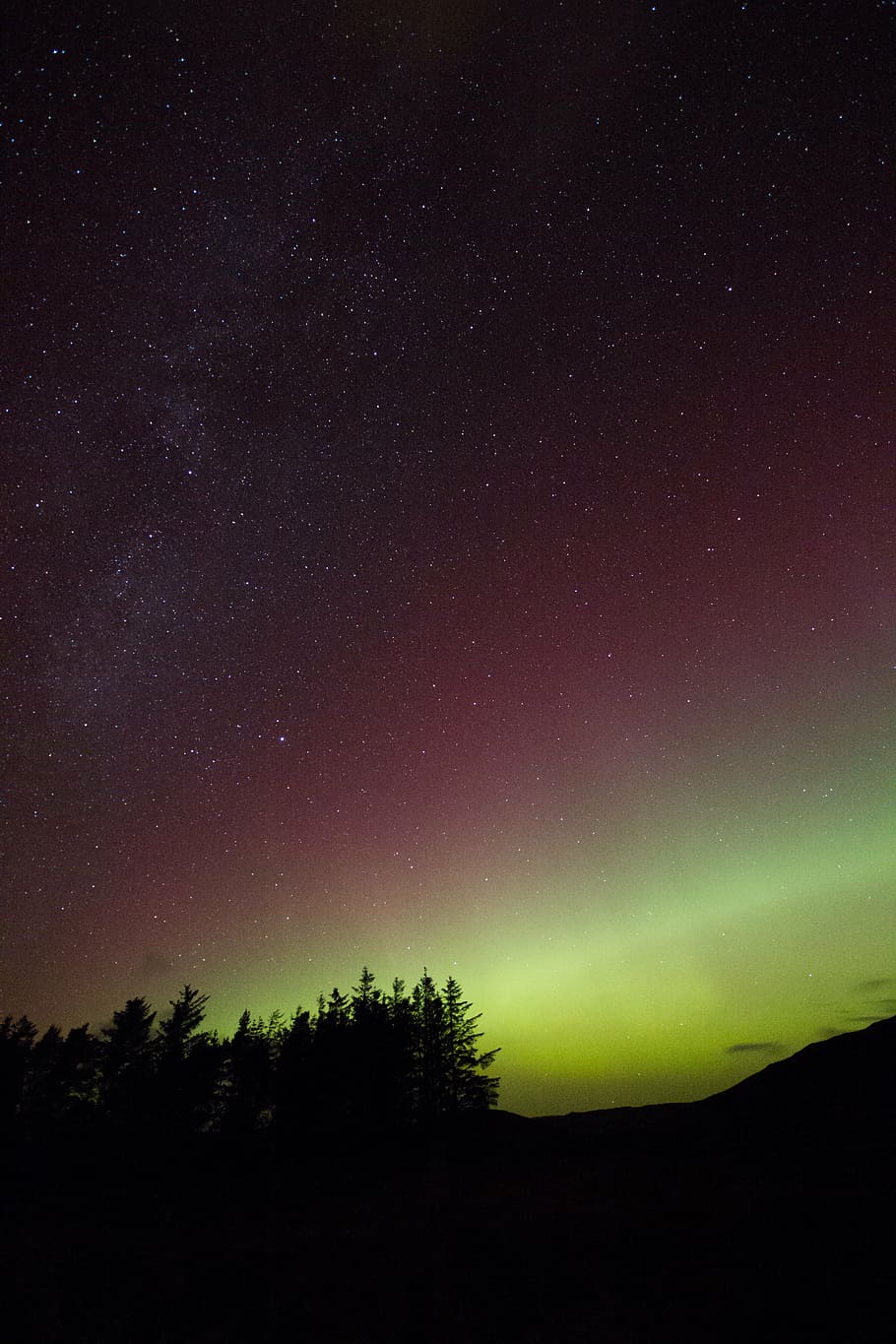 silhouette of trees under starry night, time, northern lights HD wallpaper