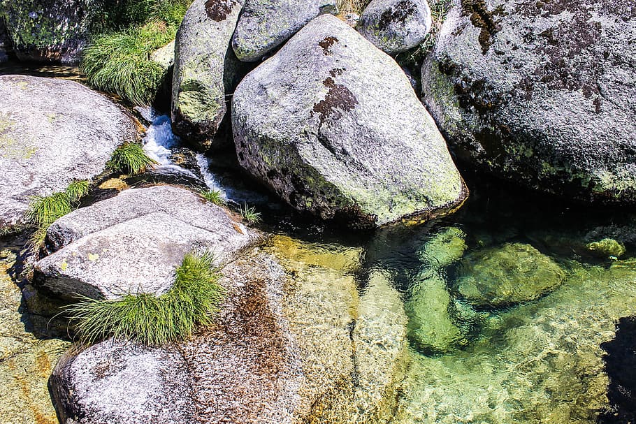 Nature, Agua, Wild, Beach, rio, wild nature, green, mountain HD wallpaper