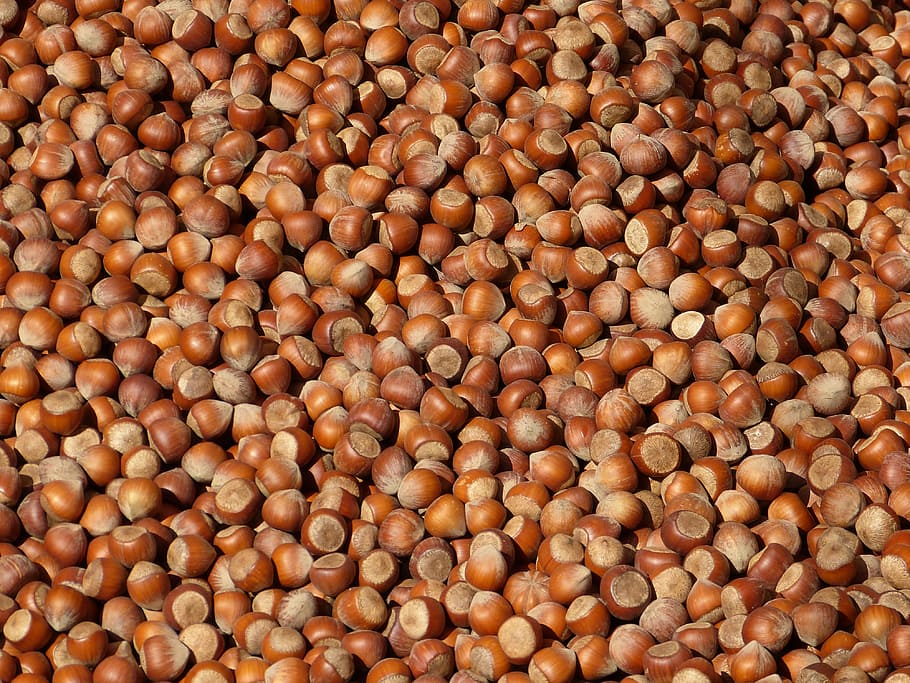 hazelnut lot, nuts, hazelnuts, shell, brown, market, food, tasty HD wallpaper