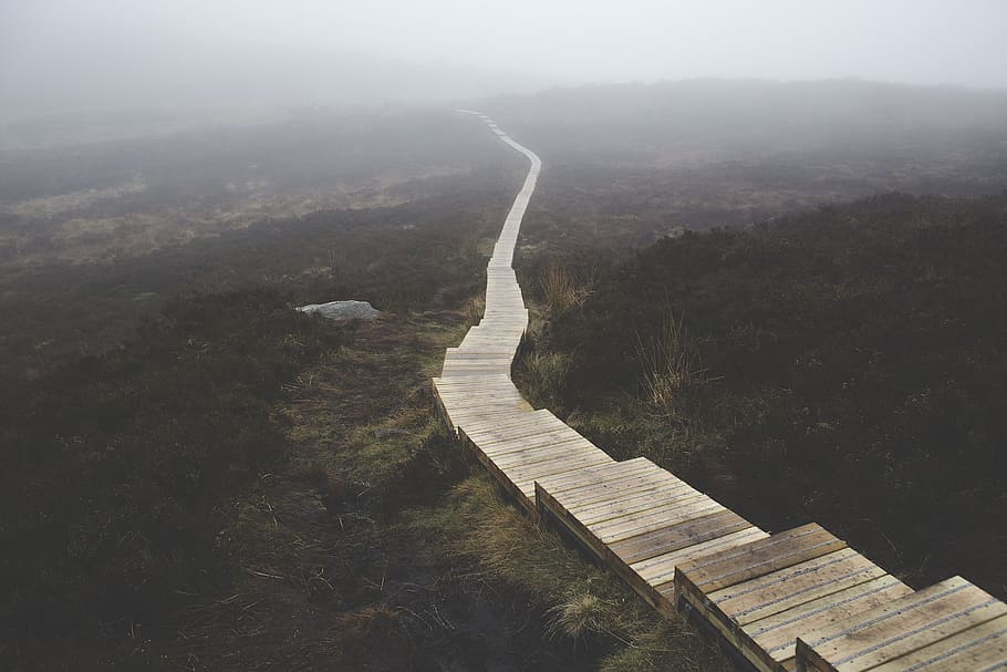 Brown Wooden Stairs on Body of Mountain, bog, dark, daylight HD wallpaper
