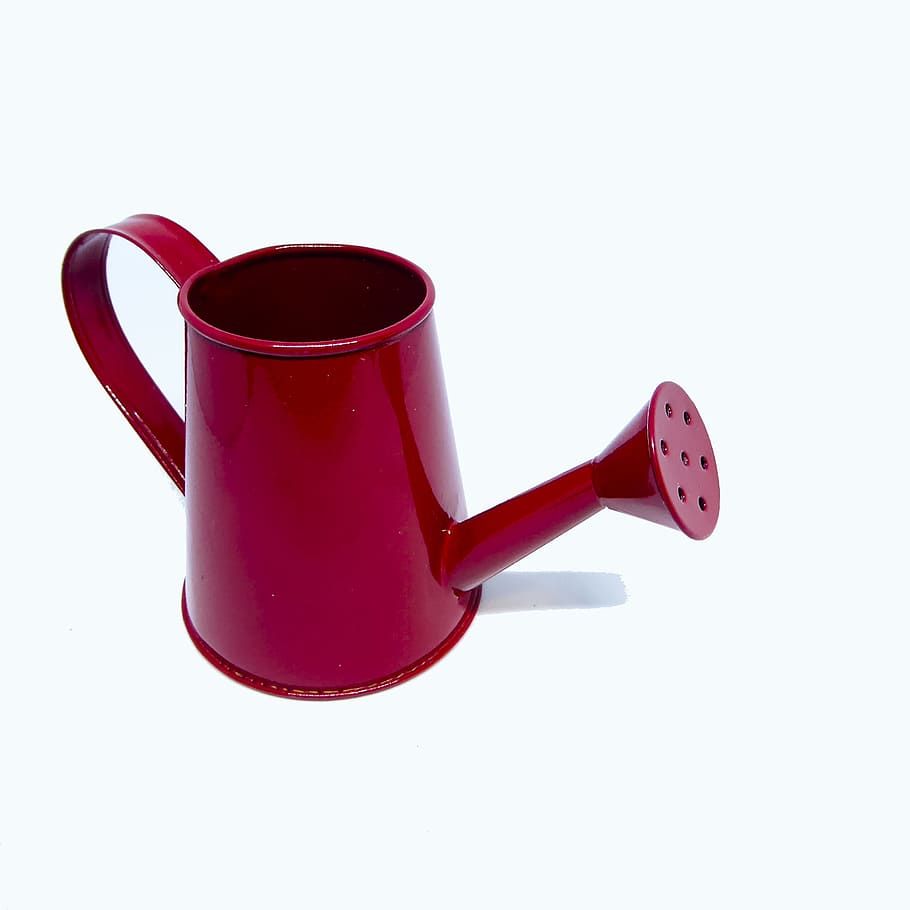 red pitcher, metal pitcher, isolated, negative space, copy space HD wallpaper