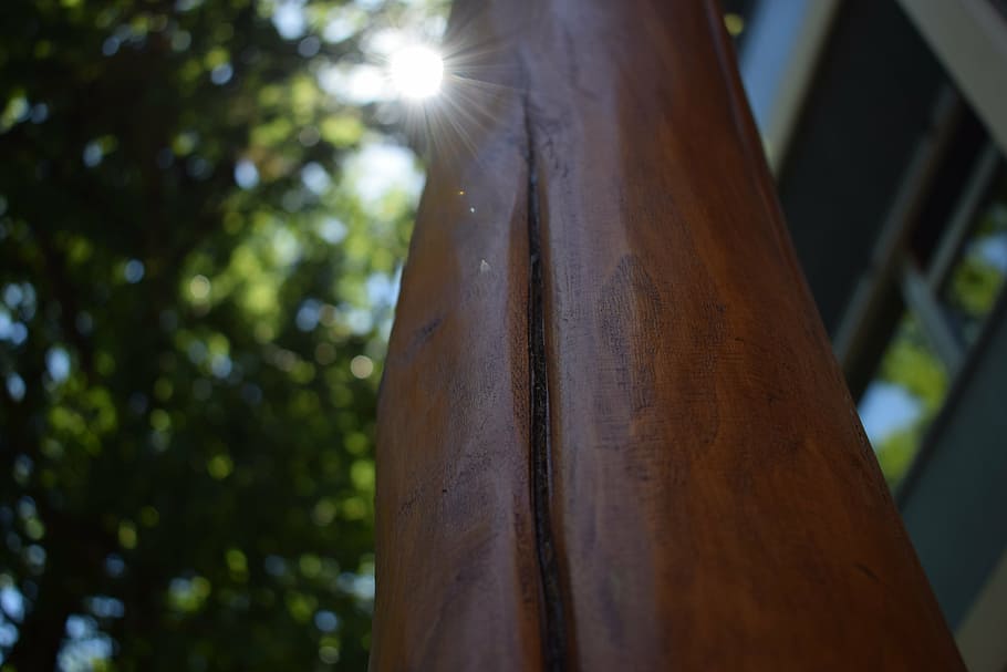 sun, tribe, wood, artificial, log, tree, strains, focus on foreground HD wallpaper
