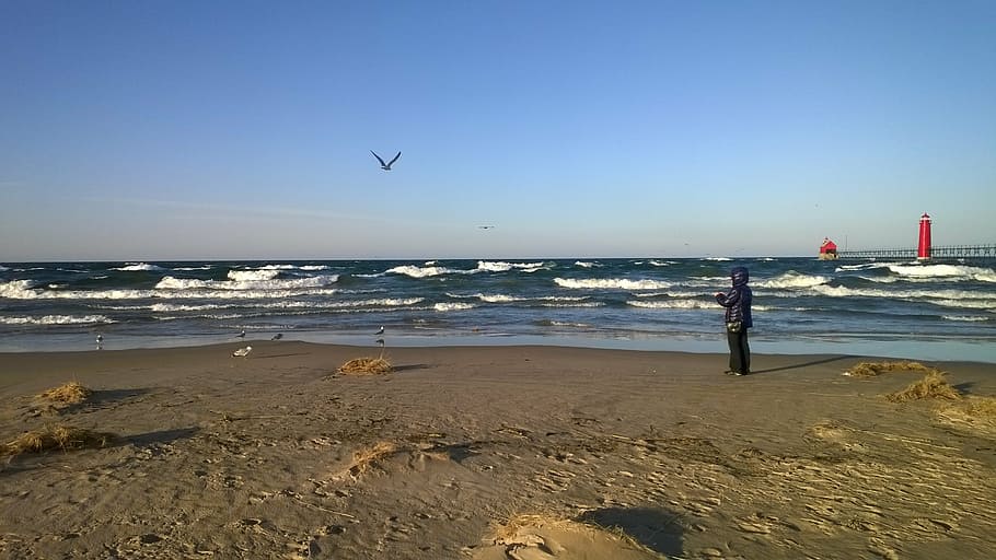 sea, shore, ocean, wind, waves, winter, cold, water, beach HD wallpaper