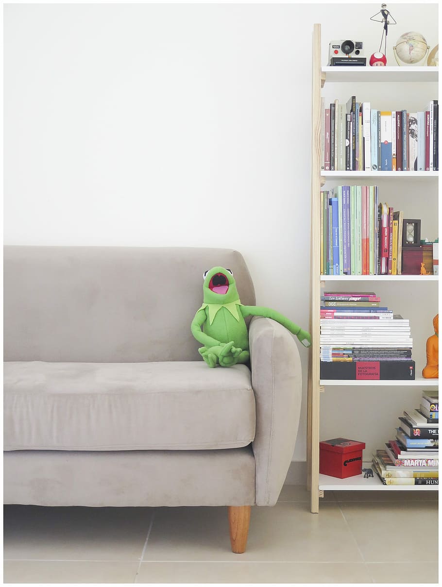 The Muppets Kermit plush toy on gray sofa, Kermit the Frog plush toy on sofa beside bookshelf