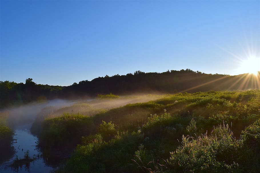 sunrise, mist, brush, trees, water, reflection, nature, landscape HD wallpaper