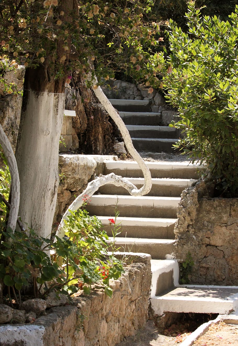 staircase, greece, summer, tree, shrubs, path, plant, architecture HD wallpaper