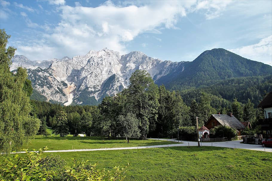 jezersko, slovenia, mountains, julian alps, summer, area, plant, HD wallpaper