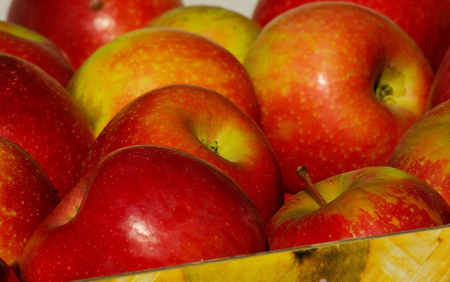 red apples, fruit, collection, fall, food and drink, healthy eating HD wallpaper