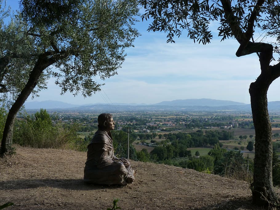assisi, italy, statue, olive tree, landscape, view, plant, sitting HD wallpaper