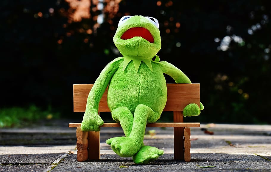 kermit, frog, bank, rest, sit, figure, funny, frogs, animal HD wallpaper