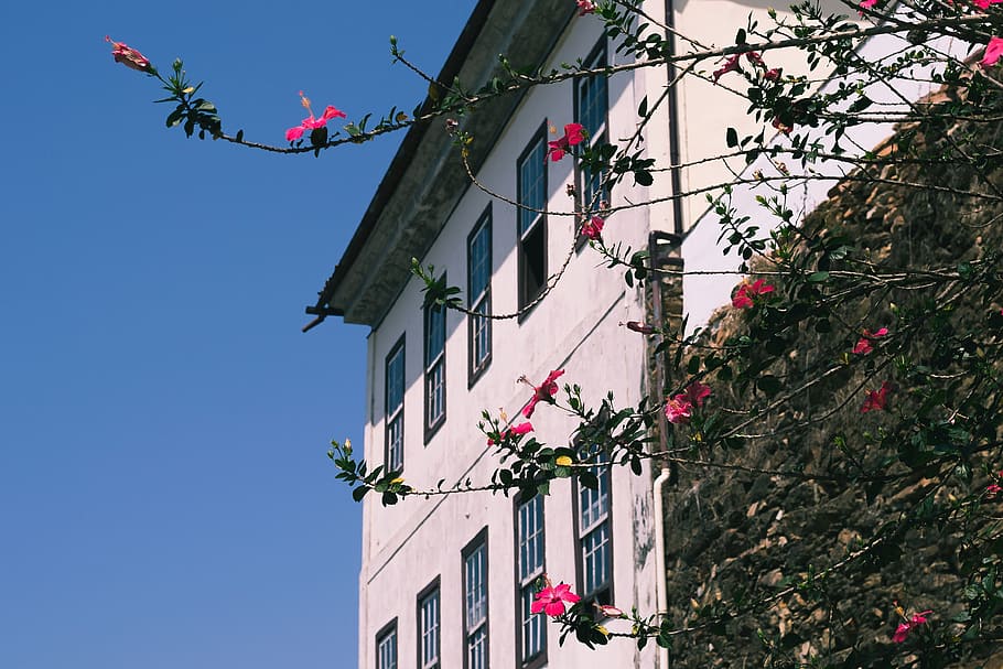 architecture, building, structure, blue, sky, house, windows HD wallpaper