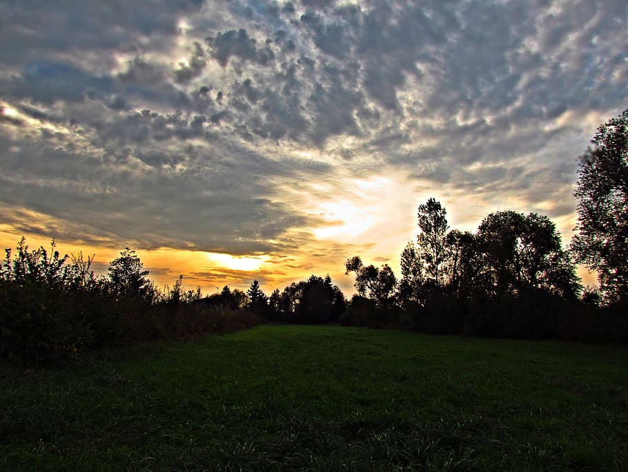 clouds, sky, meadow, field, landscape, view, the sun, evening HD wallpaper
