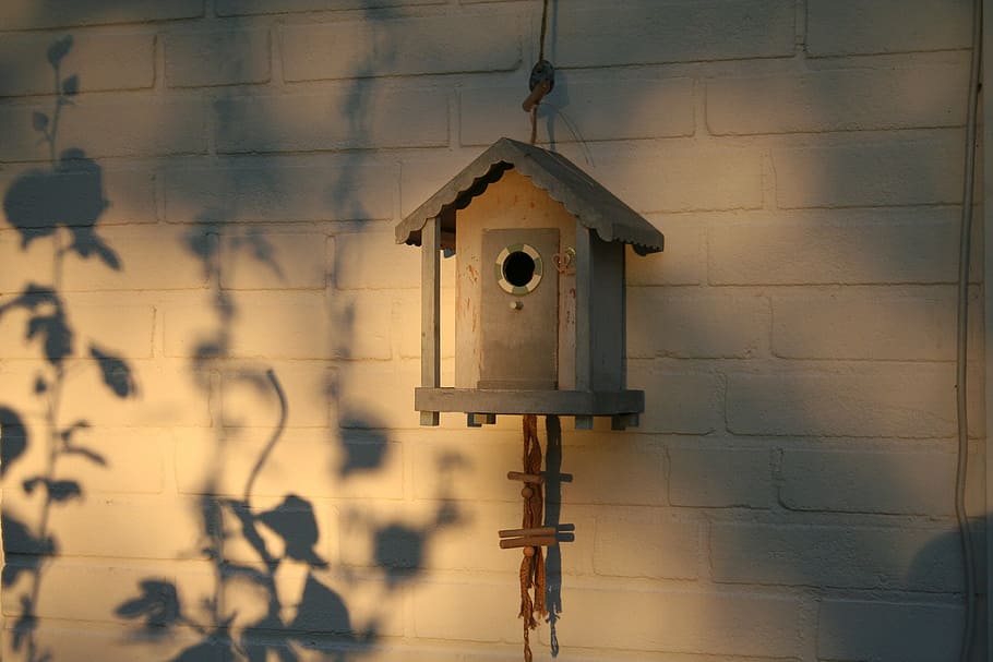 aviary, decoration, shadow play, bird feeder, nesting box, architecture