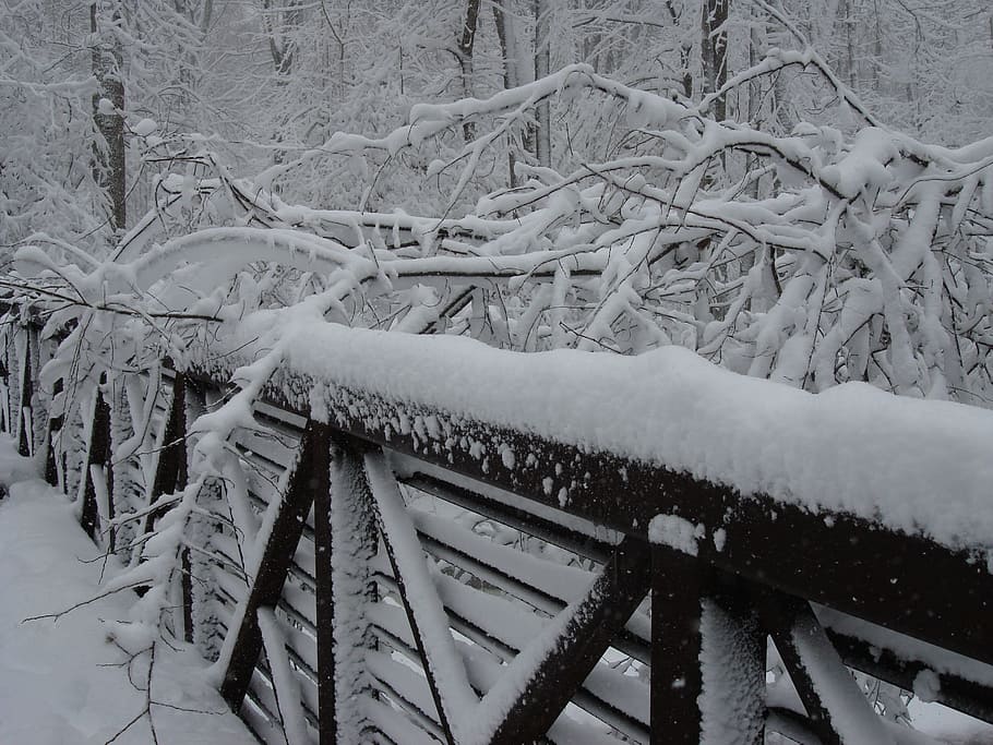 snow, branches, weather, bridge, cold temperature, winter, frozen HD wallpaper