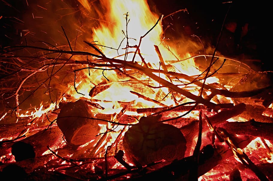 may fire, close, wood fire, flame, funeral pyre, burn, blaze HD wallpaper