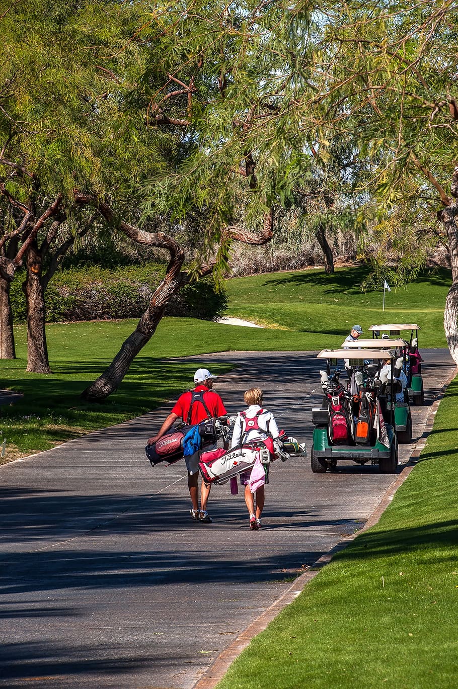 Golf Carts, Pathway, golfers, driving range, golfing, hobby HD wallpaper