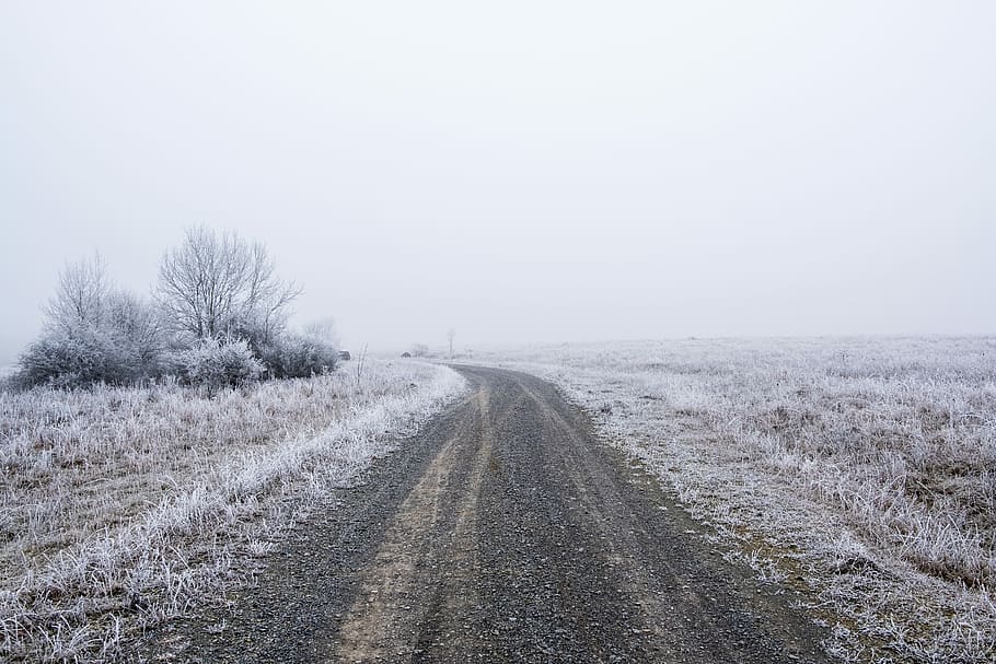 brown road, gray asphalt road, track, field, snow, frost, winter HD wallpaper
