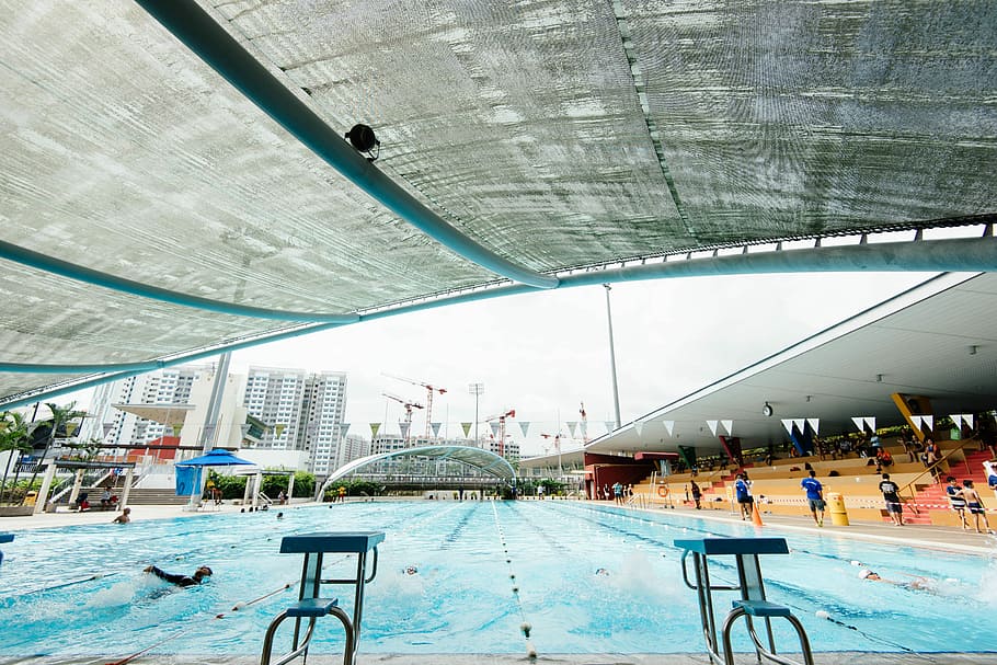 people gathering around in an olympic pool during day time, people swing in pool near inside stadium HD wallpaper
