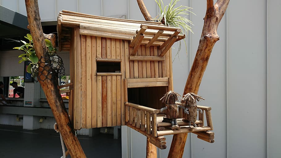 Bird, House, Bamboo, wood - material, palm tree, no people HD wallpaper