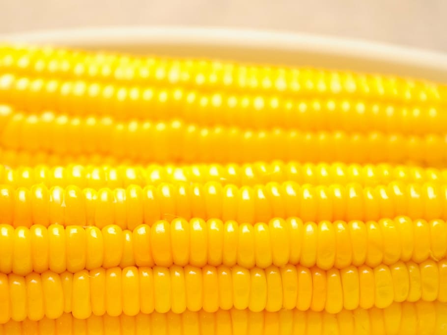 halloumi, egypt, milk, corn, vegetable, sweetcorn, food and drink HD wallpaper