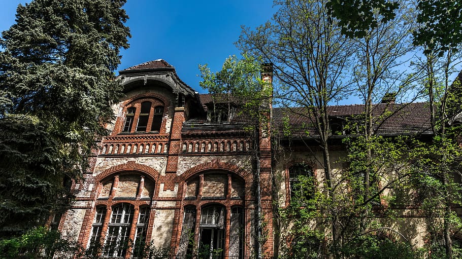 architecture, old, stone, building, home, brick, leave, lost places HD wallpaper